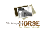 /public/logoimage/1365559843The Photographed Horse 04.png